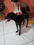 Kile