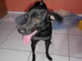Kile