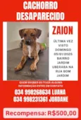 Zayon