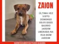 Zayon