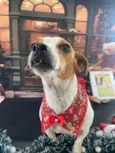 Fiona