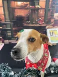 Fiona