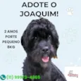 Joaquim 