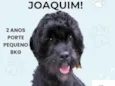 Joaquim 