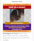 Cacau