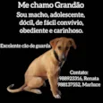 Grandão 