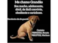 Grandão