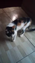 Magali