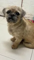 Nina