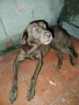 Princesa