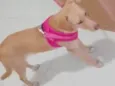 Catarina