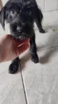 Bobby