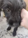 Bobby