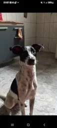Moranguinho