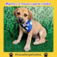 matias