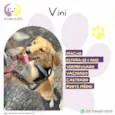 Vini
