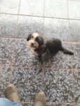 El nombre ese nina