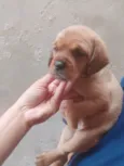Não colocamos nome ainda , vamos deixar para o novo dono .