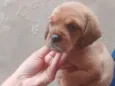 Não colocamos nome ainda , vamos deixar para o novo dono .