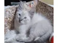 Ben