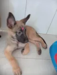 Princesa
