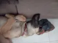 Princesa