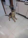 Princesa
