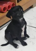 Ayla