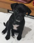 Ayla