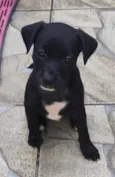 Ayla