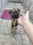 Ruby