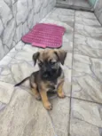 Ruby
