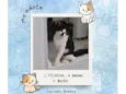 Fofinho 2