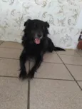 Preta