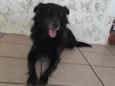 Preta