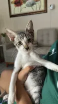 Tom