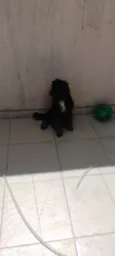 nao tem nomes