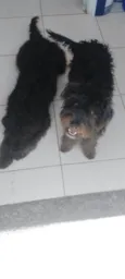 nao tem nomes