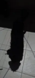 nao tem nomes