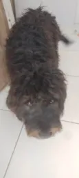 nao tem nomes