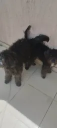 nao tem nomes