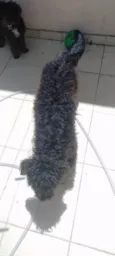 nao tem nomes