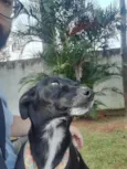 Meg