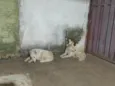 N sabemos o nome