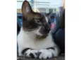 Leoncio