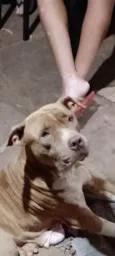 Úrsula e Bruce