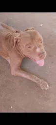 Úrsula e Bruce