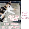 SUZI