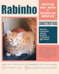Rabinho e Rabão