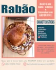 Rabinho e Rabão